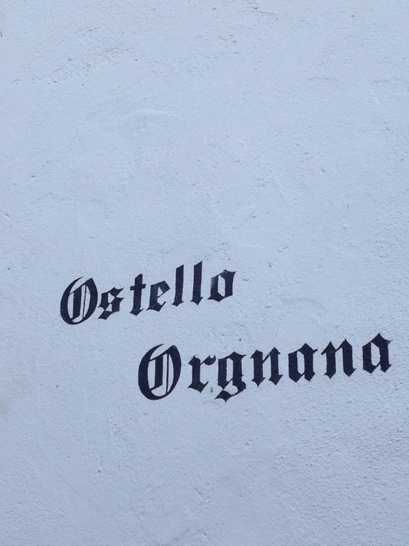 Ostello Orgnana Gambarogno Extérieur photo